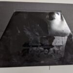 ノートPC用スタンド「MOFT」はLets noteにも使えるのか 買って試した